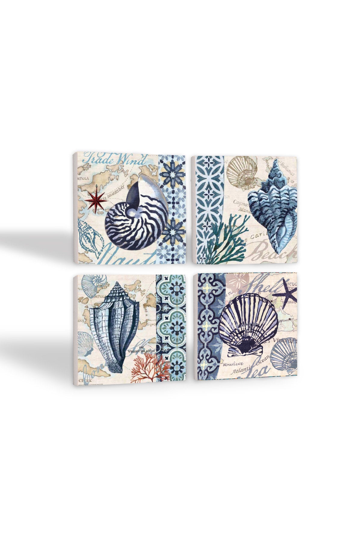 Pinecone Deniz Kabuğu Taş Bardak Altlığı Seti - 4 Parça - Dekoratif, Rustik Mutfak Aksesuarı, 10x10 cm, Kaydırmaz Tabanlı, Şık ve Dayanıklı SC112