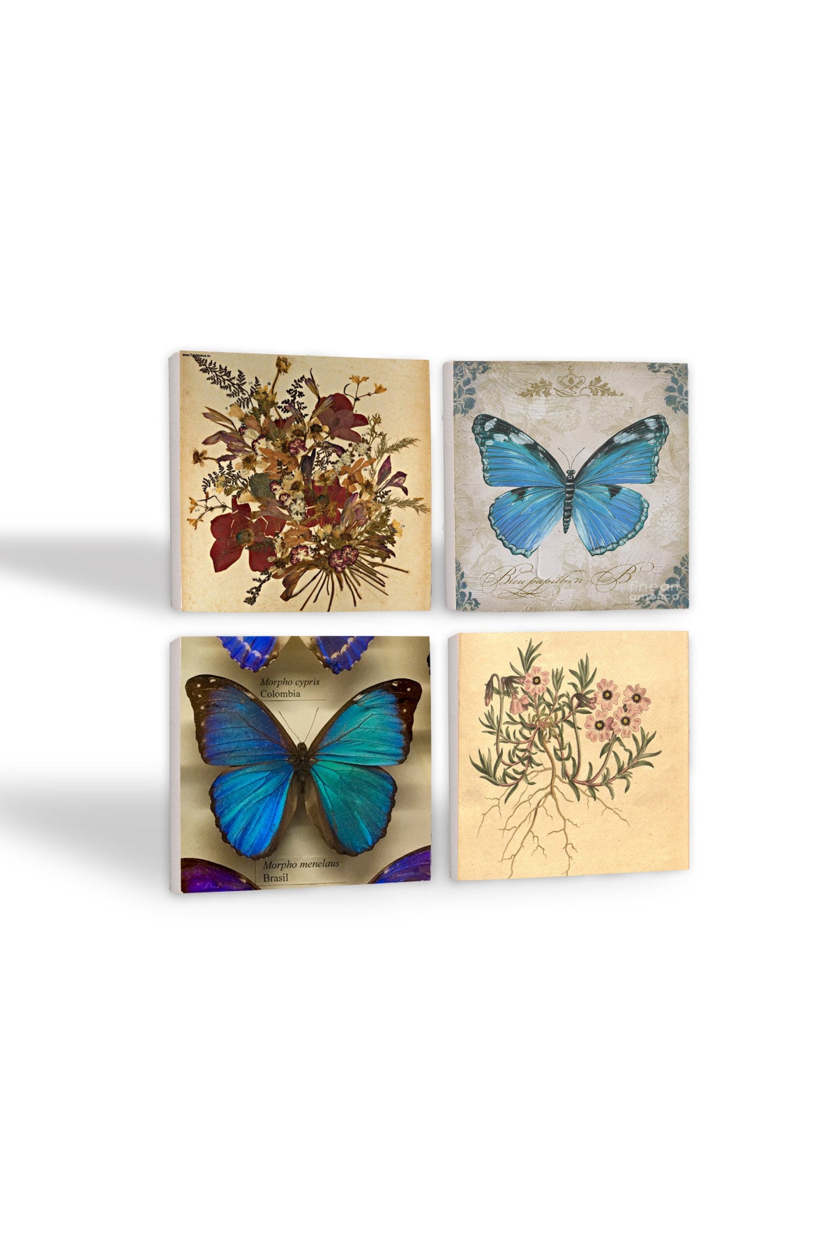 Pinecone Vintage Çiçek, Kelebek Taş Bardak Altlığı Seti - 4 Parça - Dekoratif, Rustik Mutfak Aksesuarı, 10x10 cm, Kaydırmaz Tabanlı, Şık ve Dayanıklı SC452