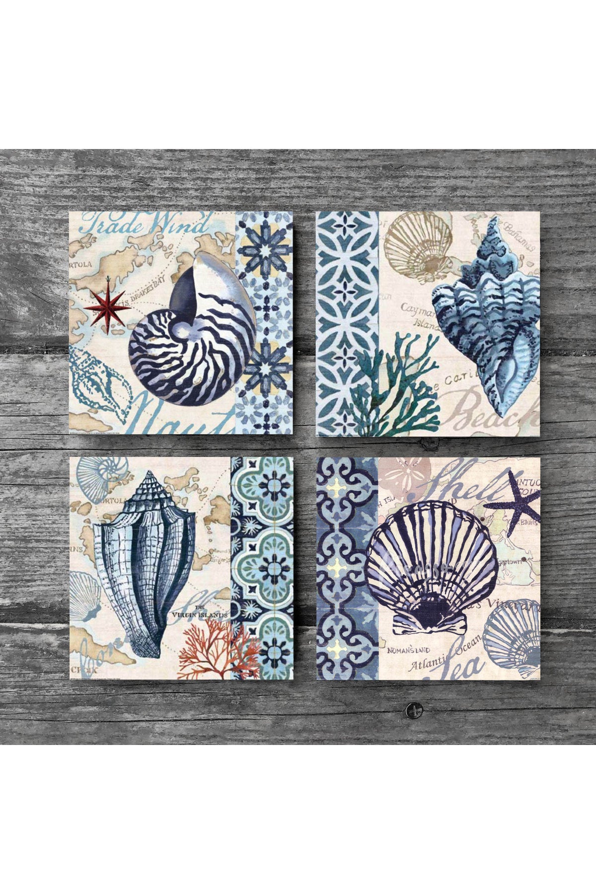 Pinecone Deniz Kabuğu Taş Bardak Altlığı Seti - 4 Parça - Dekoratif, Rustik Mutfak Aksesuarı, 10x10 cm, Kaydırmaz Tabanlı, Şık ve Dayanıklı SC112