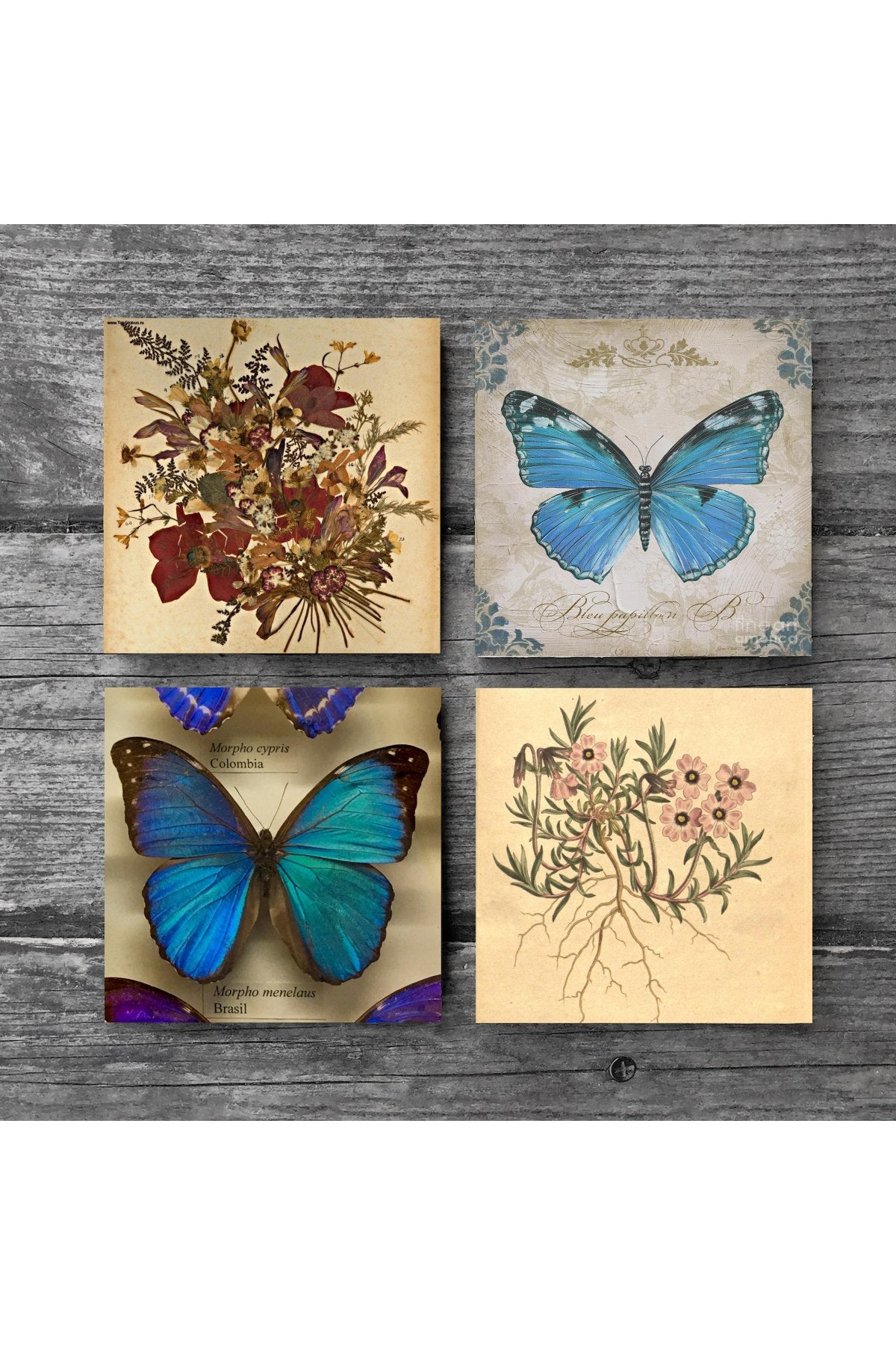 Pinecone Vintage Çiçek, Kelebek Taş Bardak Altlığı Seti - 4 Parça - Dekoratif, Rustik Mutfak Aksesuarı, 10x10 cm, Kaydırmaz Tabanlı, Şık ve Dayanıklı SC452